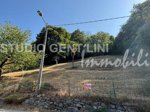 Grundstück zum Kauf 45.000 € 1.785 m² Grundstück Alla Maltra Castelveccana