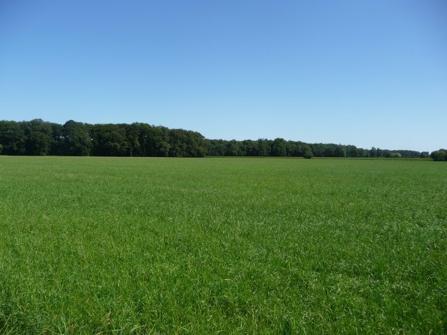 Landwirtschaftliche Fläche zum Kauf 467.256 m²<br/>Grundstück Badbergen Badbergen 49635