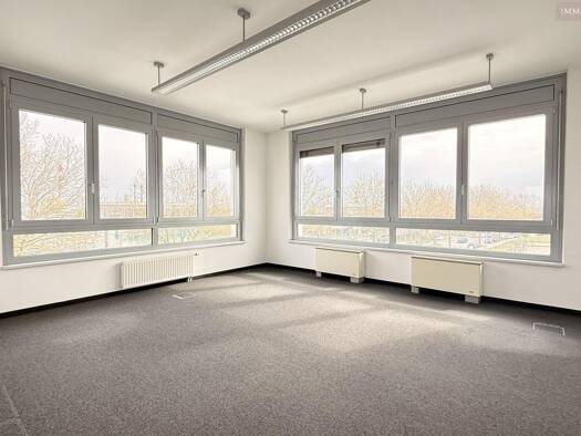 Bürofläche zur Miete 4.109 € 9 Zimmer 357,3 m² Bürofläche Schwechat 2320