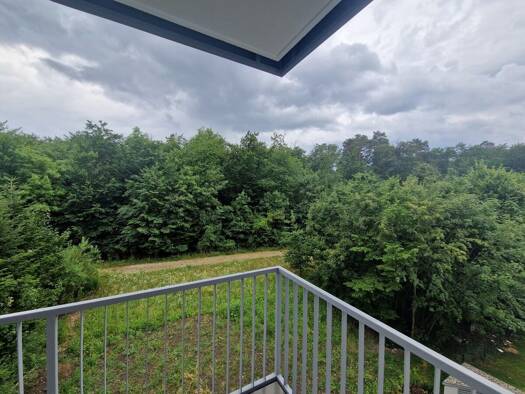 Wohnung zum Kauf - Erstbezug 295.000 € 3 Zimmer 58,1 m² Hinterberg Steyr 4400
