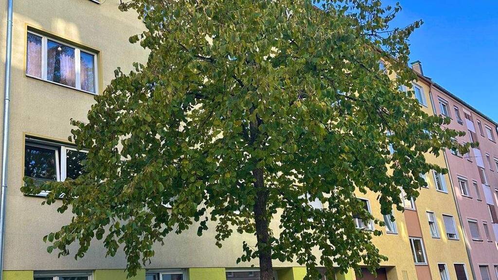 Wohnung zum Kauf 219.000 € 3 Zimmer 64 m² Steinbühl Nürnberg 90459