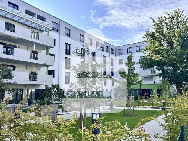 Wohnung zur Miete 540 € 1 Zimmer 41,8 m² Amberg 92224