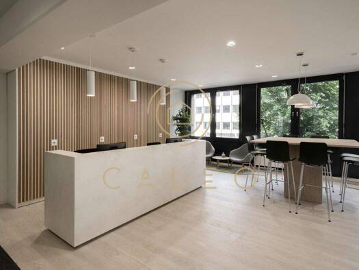 Bürokomplex zur Miete provisionsfrei 50 m² Bürofläche teilbar ab 1 m² Zentrum Bonn 53119