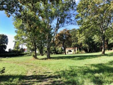 Grundstück zum Kauf 117.000 € 780 m² Grundstück Prehlitz-Penkwitz Elsteraue 06729