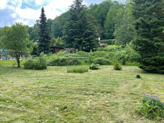 Grundstück zum Kauf provisionsfrei 59.990 € 594 m² Grundstück Lichtenberg Lichtenberg/Erzgeb. 09638