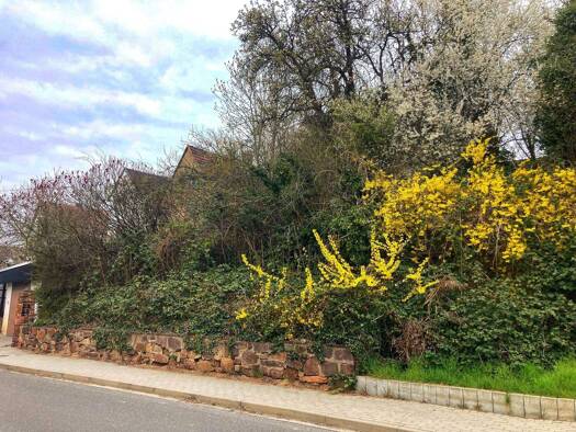Grundstück zum Kauf 282 m² Grundstück Rosa-Luxemburg-Str. 27 Tautenhain Frohburg 04654