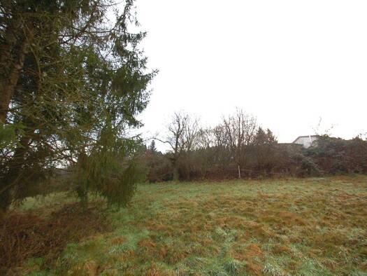 Grundstück zum Kauf 150.000 € 1.589 m² Grundstück Friedrichsdorf Eberbach 69412