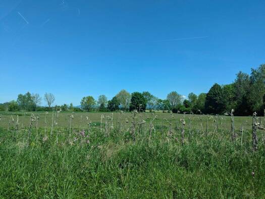 Grundstück zum Kauf provisionsfrei 6.639 m² Grundstück Straubing 94315