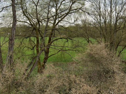 Grundstück zum Kauf provisionsfrei 5.000 € 1.000 m² Grundstück frei ab sofort Schmelz 66839