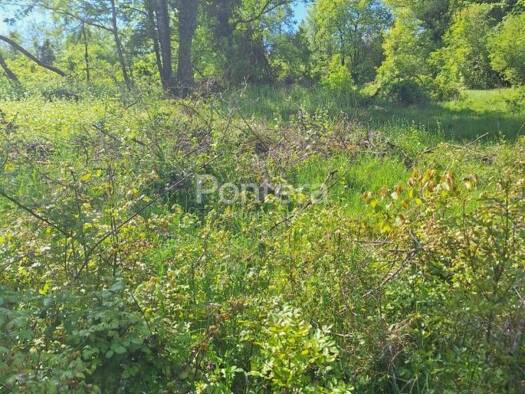 Acker-/Waldstück zum Kauf 47.000 € Pasjak, Matulji Matulji 51211