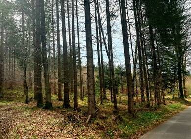 Forstwirtschaft zum Kauf 143.700 m² 143.700 m² Grundstück Großweil Großweil 82439