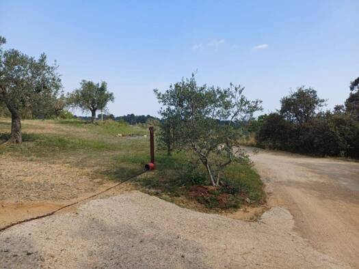 Acker-/Waldstück zum Kauf 78.000 € Riudecanyes 43771