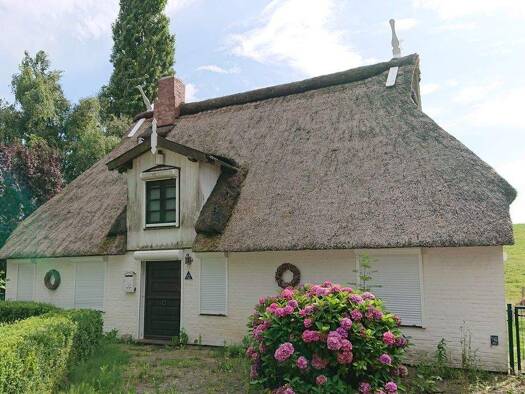 Einfamilienhaus zum Kauf 425.000 € 4 Zimmer 110 m² 3.467 m² Grundstück Brokdorf 25576