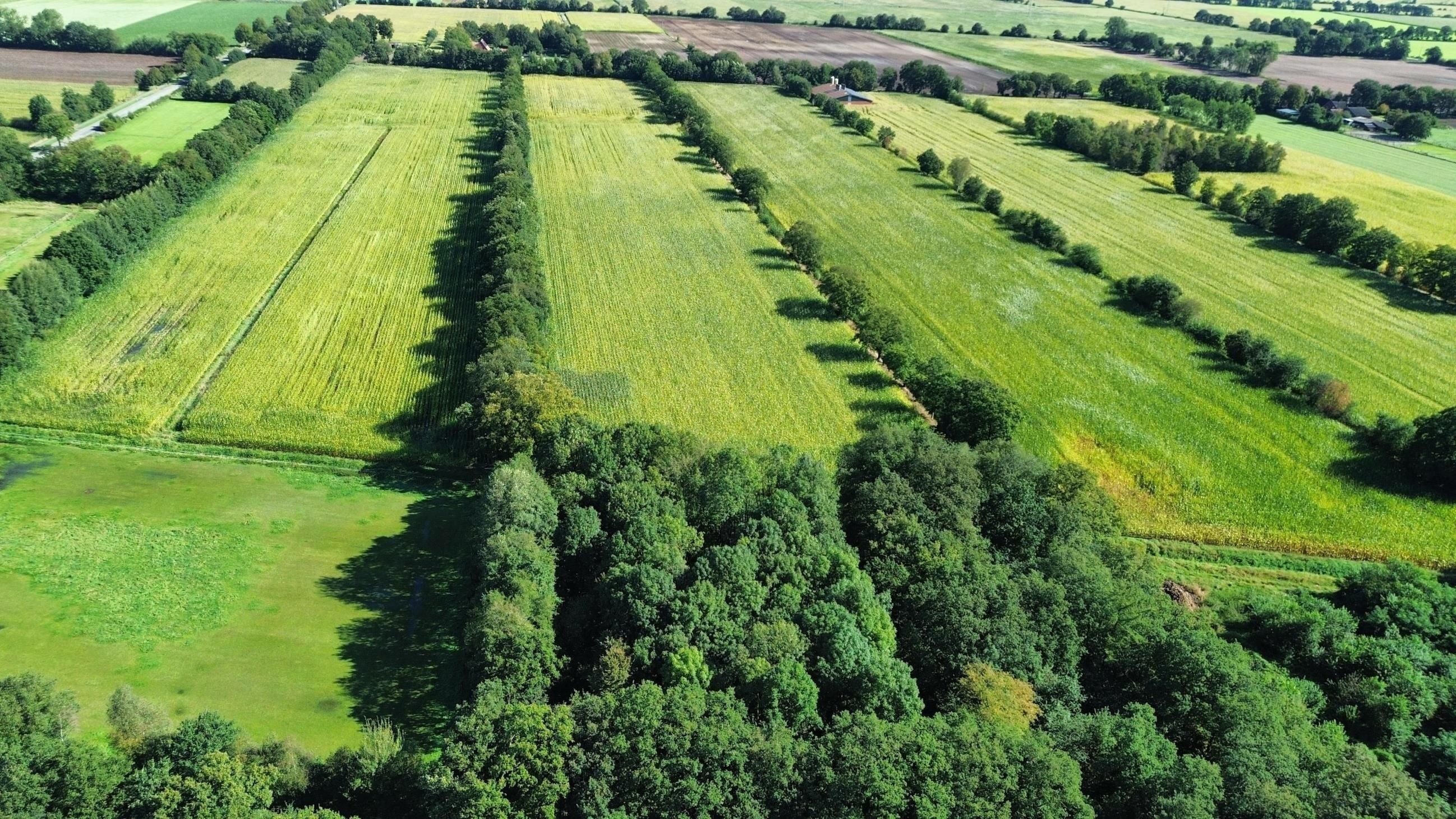 Landwirtschaftliche Fläche zum Kauf 42.416 m²<br/>Grundstück Wahlbezirk 201 Nordhorn 48531