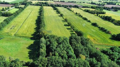 Landwirtschaftliche Fläche zum Kauf 42.416 m² Grundstück Wahlbezirk 201 Nordhorn 48531