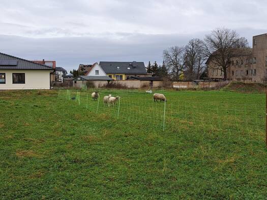 Gewerbegrundstück zum Kauf 92.800 € 1.300 m² Grundstück Baugenehmigung vorhanden Am alten Gut 2 Mühlberg Mühlberg/Elbe 04931