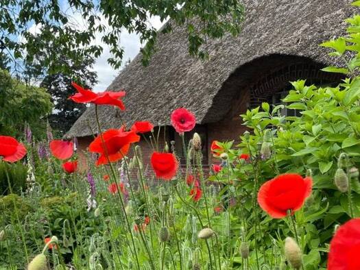 Haus zum Kauf 620.000 € 10 Zimmer 300 m² 3.736 m² Grundstück Dorfstraße 45 und 45 a Schwanewede 28790