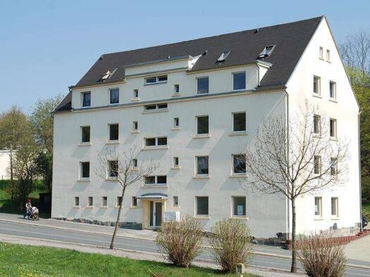 Mehrfamilienhaus zum Kauf 466.000 € 35 Zimmer 725 m² 910 m² Grundstück Reichenbach Reichenbach 08468