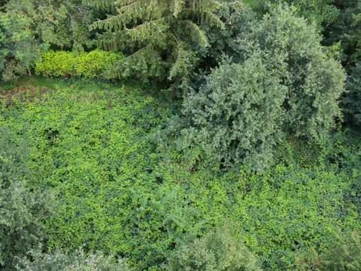 Freizeitgrundstück zum Kauf 44.000 € 809 m² Grundstück frei ab sofort Pfalzdorf Goch 47574