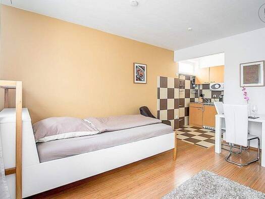 Studio zur Miete Wohnen auf Zeit 905 € 1 Zimmer 30 m² frei ab 01.04.2026 Lichtenhof Nürnberg 90459