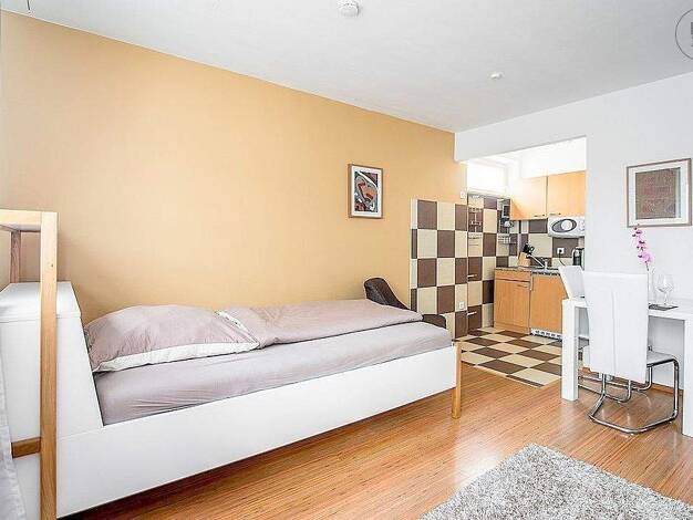 Studio zur Miete auf Zeit 905 € 1 Zimmer 30 m² frei ab sofort Lichtenhof Nürnberg 90459