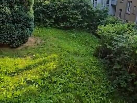 WG-Zimmer zur Miete 500 € 1 Zimmer 40 m² Geschoss 1/4 frei ab 01.07.2026 Barmen Wuppertal 42277