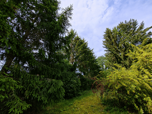 Grundstück zum Kauf 48.000 € 770 m² Grundstück Merzdorf Riesa 01591