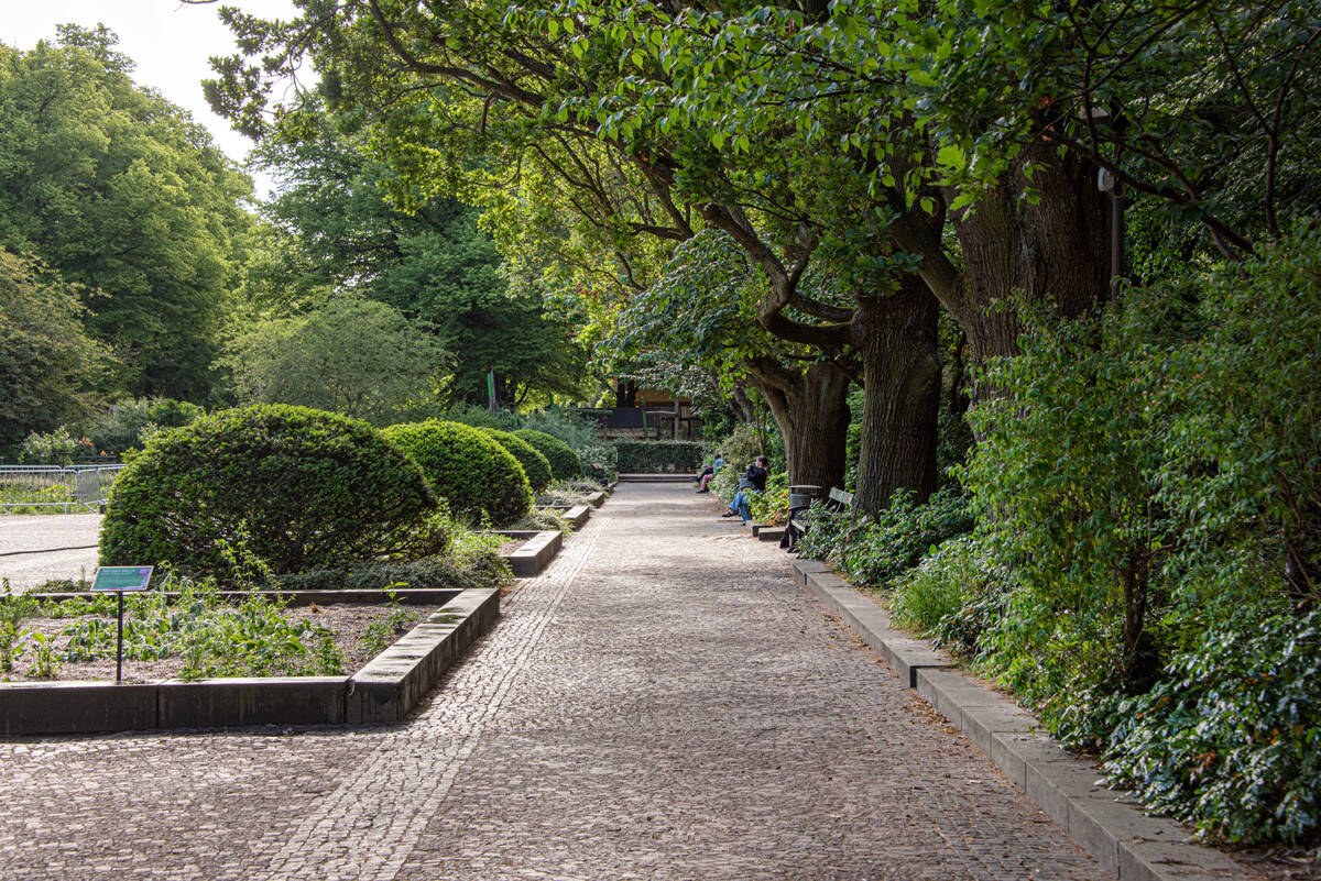 Property thumbnail 24