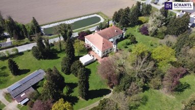 Schloss zum Kauf 2.800.000 € 11 Zimmer 1.838 m² 40.000 m² Grundstück Wildon 8410