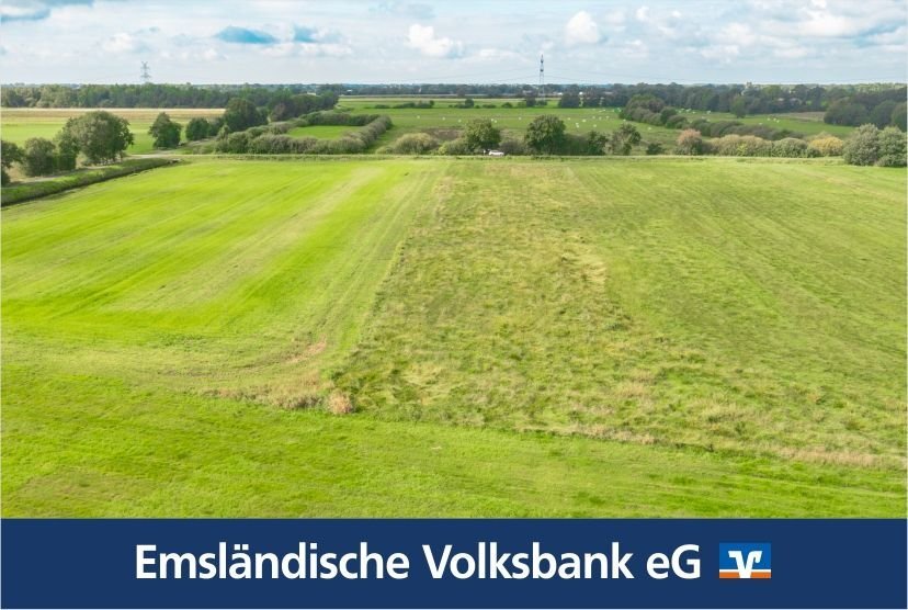 Land-/Forstwirtschaft zum Kauf 15.996 m²<br/>Grundstück Borsum Rhede 26899