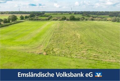 Land-/Forstwirtschaft zum Kauf 15.996 m² Grundstück Borsum Rhede 26899