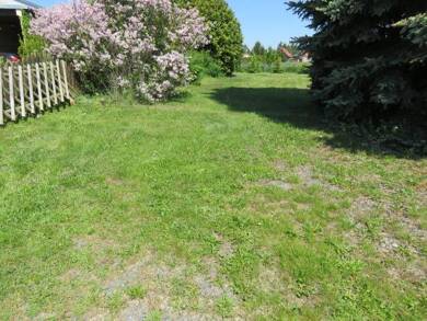Grundstück zum Kauf 65.000 € 1.300 m² Grundstück Klostermansfeld 06308