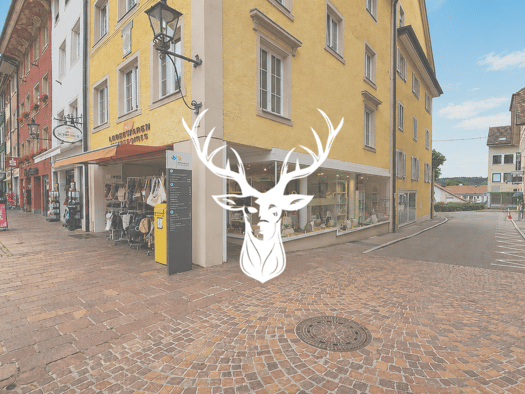 Laden zur Miete 6.700 € 1 Zimmer 221 m² Verkaufsfläche Kaiserstraße 21 Waldshut Waldshut-Tiengen 79761