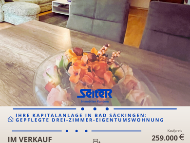 Wohnung zum Kauf 259.000 € 3 Zimmer 86,7 m² Zeppelinsraße 47 Bad Säckingen Bad Säckingen 79713