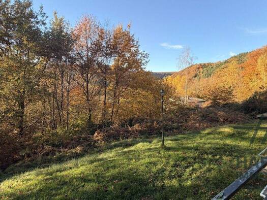 Haus zum Kauf 59.000 € 3 Zimmer 38,6 m² 4.132 m² Grundstück Kordel 54306