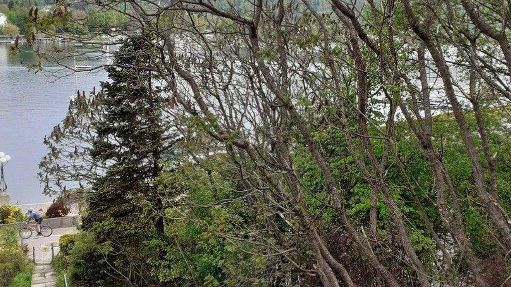 Haus zur Miete 2 Zimmer 53 m² 150 m² Grundstück Liefering II Velden am Wörther See 5020