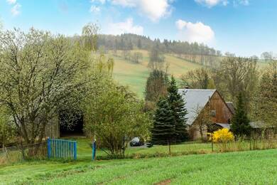 Haus zum Kauf provisionsfrei 489.500 € 7 Zimmer 130 m² 12.200 m² Grundstück Geising-Löwenhain Geising / Löwenhain 01778