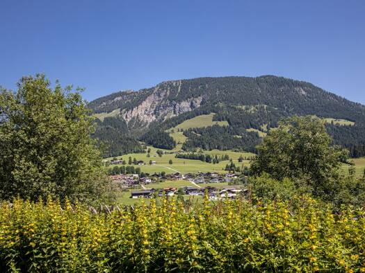 Haus zum Kauf - Erstbezug 3.950.000 € 377 m² FIEBERBRUNN 6391