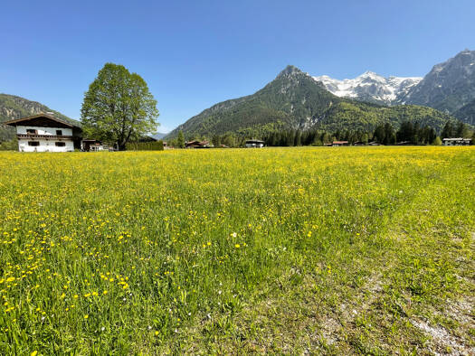 Grundstück zum Kauf 400.000 € 555 m² Grundstück Sankt Ulrich am Pillersee 6393