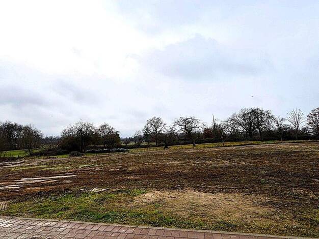 Grundstück zum Kauf 249.000 € 390 m² Grundstück Muggensturm 76461