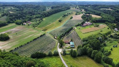 Land-/Forstwirtschaft zum Kauf 450.000 € Radoisce