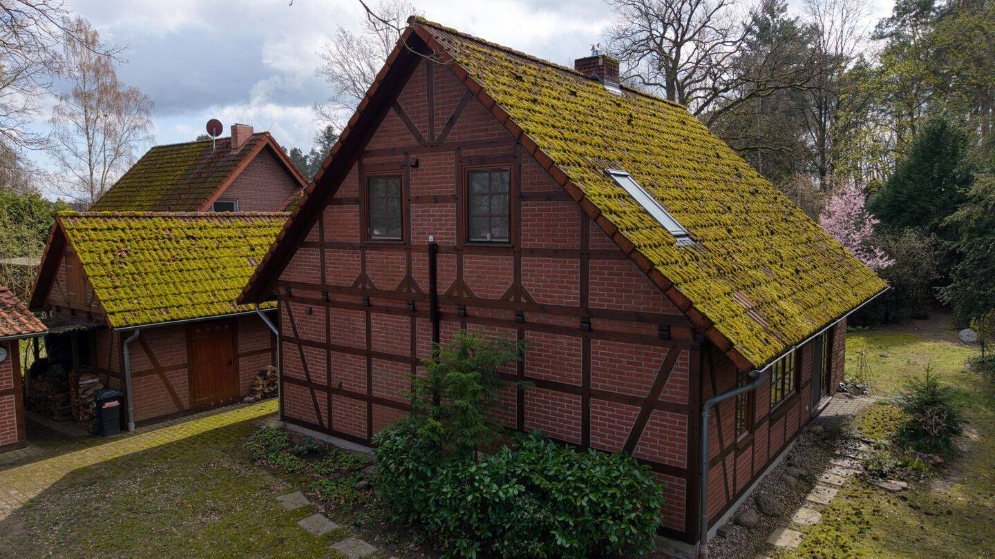 Einfamilienhaus zum Kauf - Ansicht 4