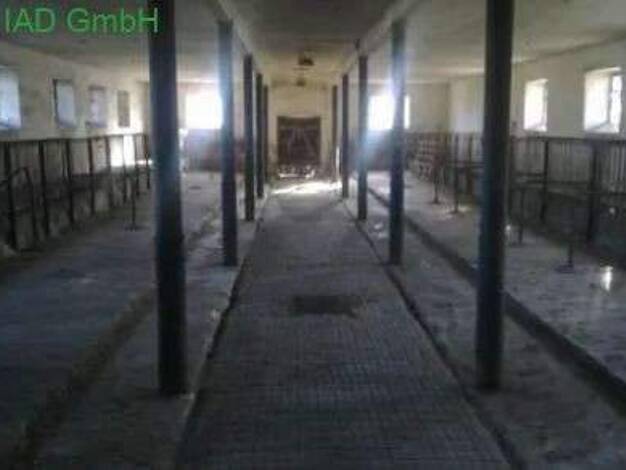 Bauernhaus zum Kauf 200.000 € 16 Zimmer 300 m² 7.548 m² Grundstück Kohlwesa Hochkirch 02627