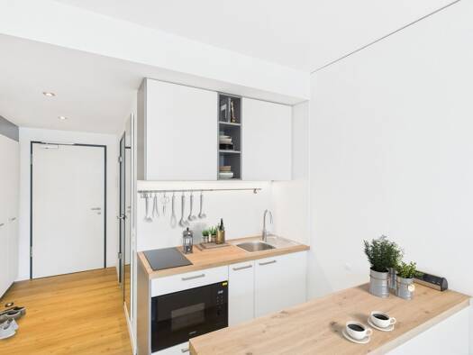 Wohnung zur Miete Wohnen auf Zeit 723 € 2 Zimmer 24,6 m² frei ab 01.02.2026 Altenhöferallee 30 Kalbach-Riedberg Frankfurt am Main 60438