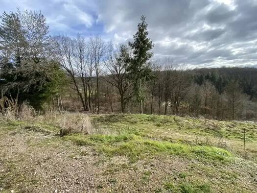 Grundstück zum Kauf als Kapitalanlage geeignet 50.000 € 478 m² Grundstück Miehlen Miehlen 56357
