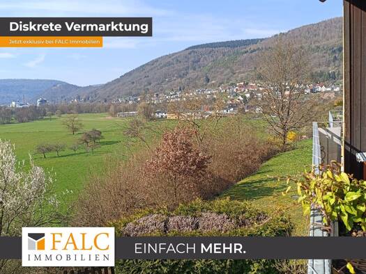 Mehrfamilienhaus zum Kauf 695.000 € 13 Zimmer 305 m² 1.208 m² Grundstück Schneeberg 63936