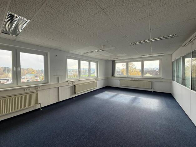 Bürofläche zur Miete 2.800 € 439 m² Bürofläche Rehau Rehau 95111