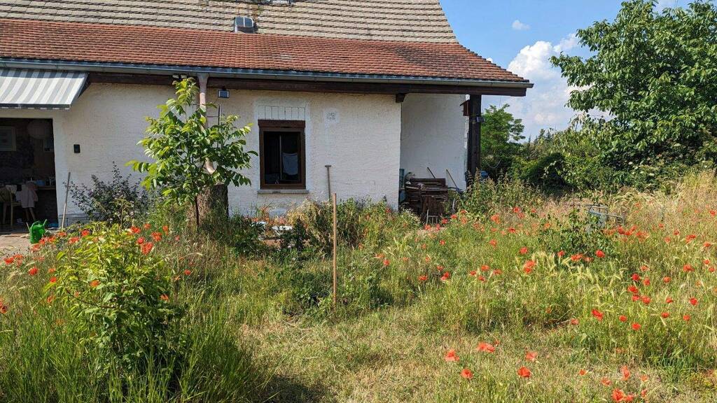 Bauernhaus zum Kauf 44.000 € 2 Zimmer 73 m² 427 m² Grundstück Lebendorf Könnern 06420