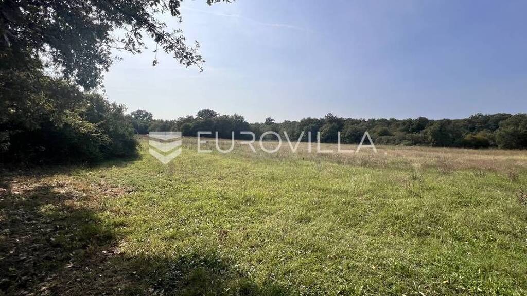 Land-/Forstwirtschaft zum Kauf 104.000 € Prodol Filipana, Divsici, Orbanici 52208