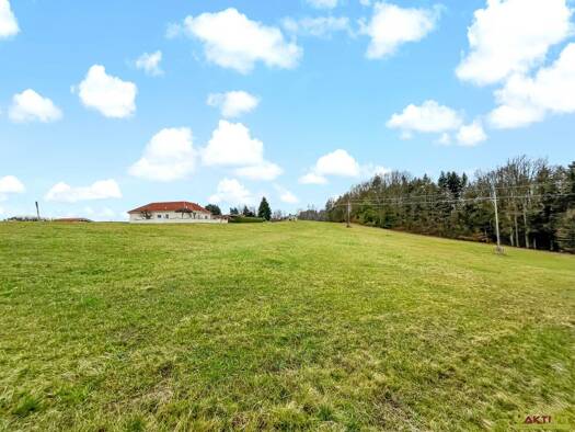 Grundstück zum Kauf 150.000 € 10.956 m² Grundstück Deutsch Kaltenbrunn 7572